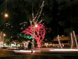 Lights1.jpg
