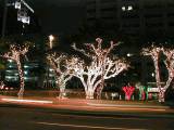 Lights2.jpg