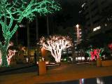 Lights3.jpg