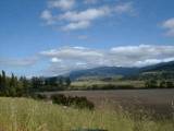 Country06.JPG
