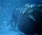 FloridaDiving.jpg